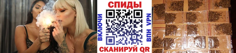 блэк спрут как зайти Усть-Илимск Бутират буратино