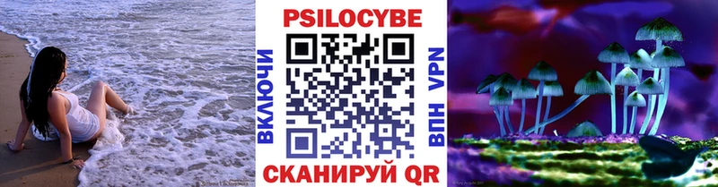 цена   omg зеркало  Галлюциногенные грибы Psilocybe  Усть-Илимск 